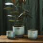 Caribe Pot – Mint – 5.25″